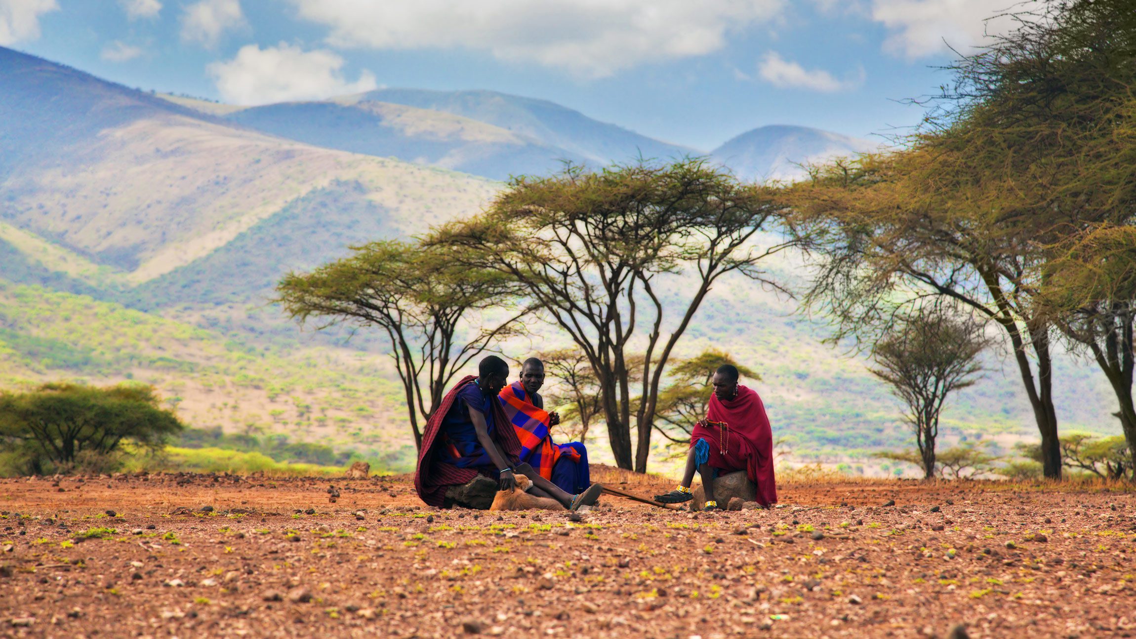 Smart Net Tanzania Services: Marketing Tanzania and Africa Tourism Companies